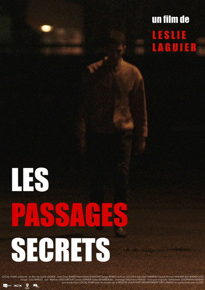 Póster de Les passages secrets