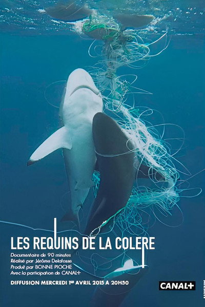 Póster de Les requins de la colère