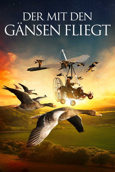 Póster de Les routes secrètes des oiseaux migrateurs