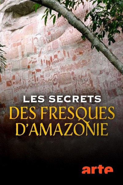 Póster de Les secrets des fresques d'Amazonie