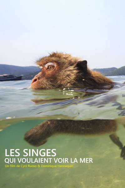 Póster de Les singes qui voulaient voir la mer