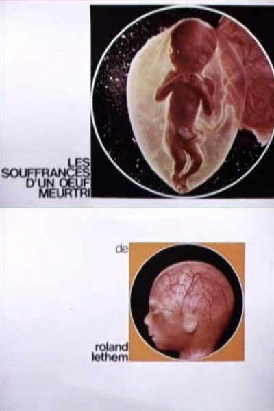 Póster de Les souffrances d'un oeuf meurtri