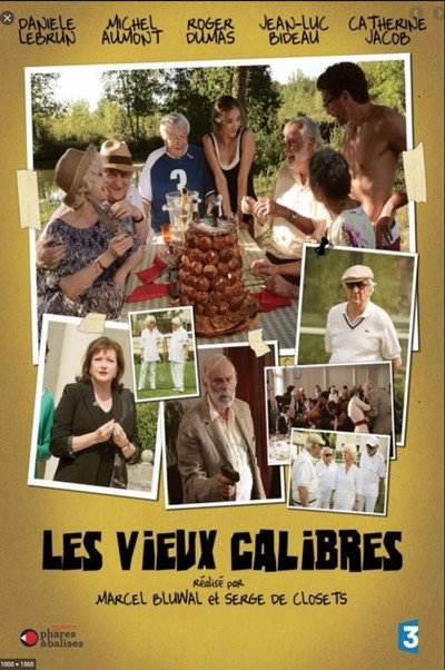 Póster de Les vieux calibres