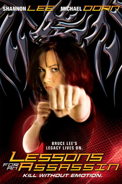 Póster de Lessons for an Assassin