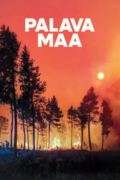 Póster de Lessons in Fire