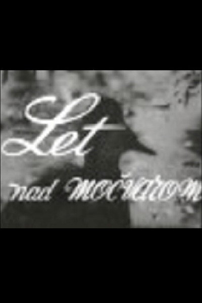 Póster de Let nad mocvarom
