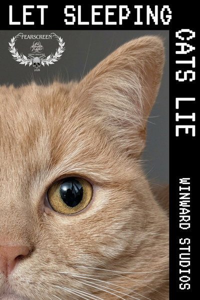 Póster de Let Sleeping Cats Lie