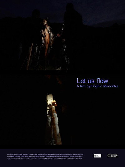 Póster de Let Us Flow
