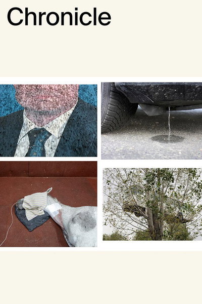 Póster de Letopis