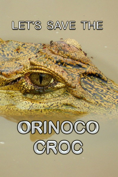 Póster de Let's Save the Orinoco Croc