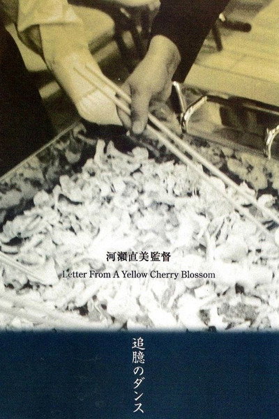 Póster de Letter from a Yellow Cherry Blossom