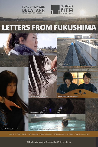 Póster de Letters from Fukushima