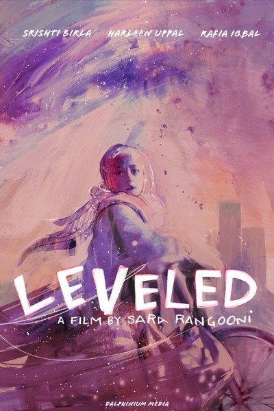 Póster de Leveled