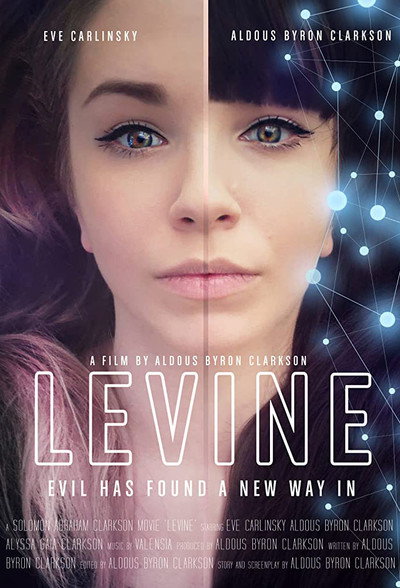 Póster de Levine