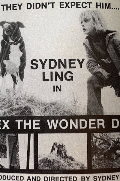 Póster de Lex, the Wonder Dog