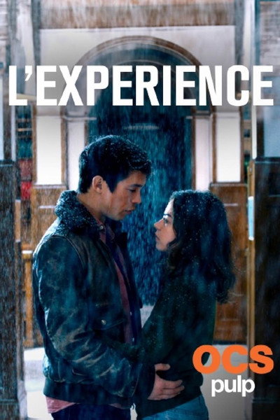 Póster de L'expérience