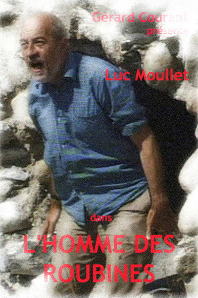 Póster de L'homme des roubines
