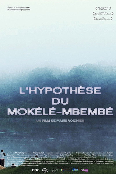 Póster de L'hypothèse du Mokélé-M'Bembé
