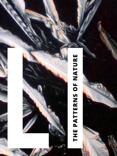 Póster de Li: The Patterns of Nature