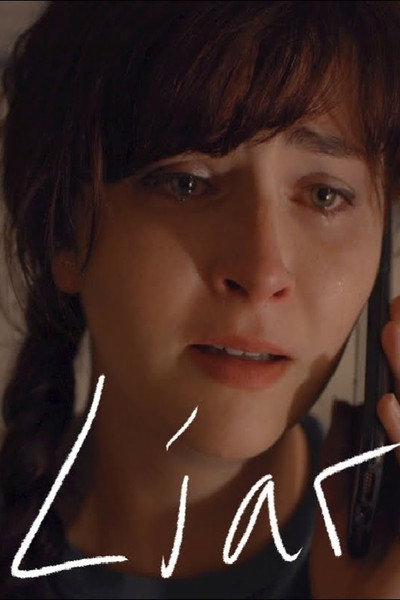 Póster de Liar