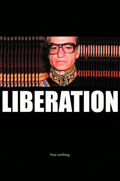 Póster de Liberation
