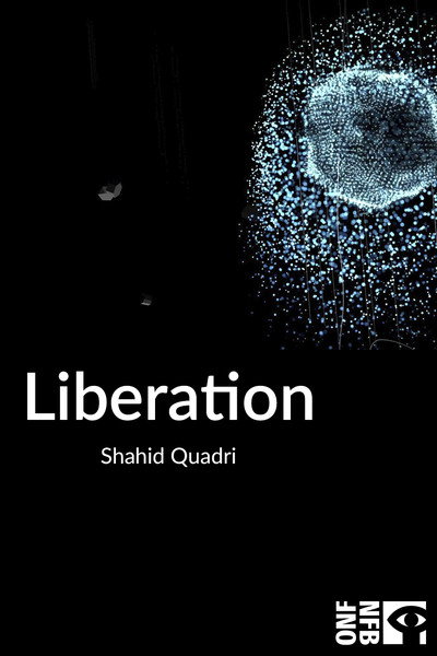 Póster de Liberation