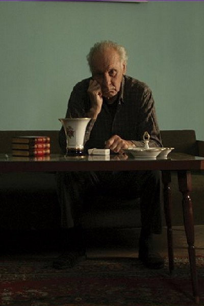 Póster de Liberation in 26 Pictures