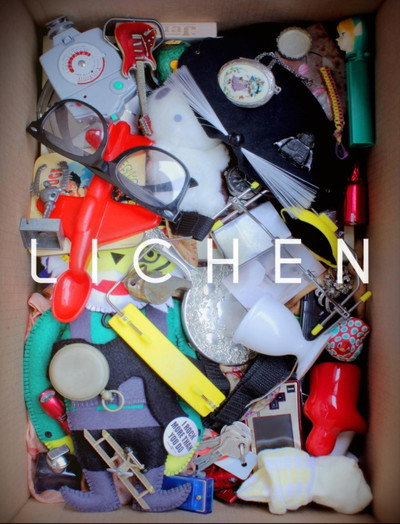 Póster de Lichen