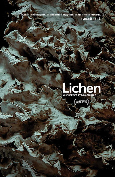 Póster de Lichen
