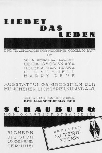 Póster de Liebet das Leben