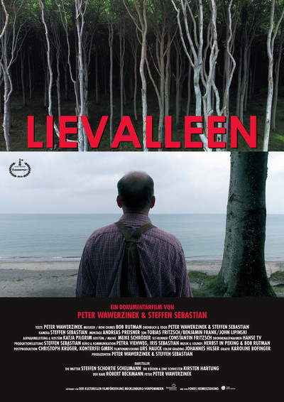 Póster de Lievalleen