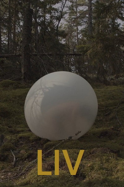 Póster de Life