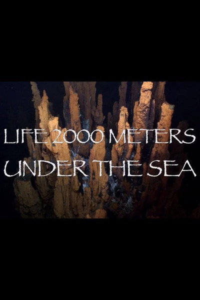 Póster de Life 2,000 Meters Under the Sea