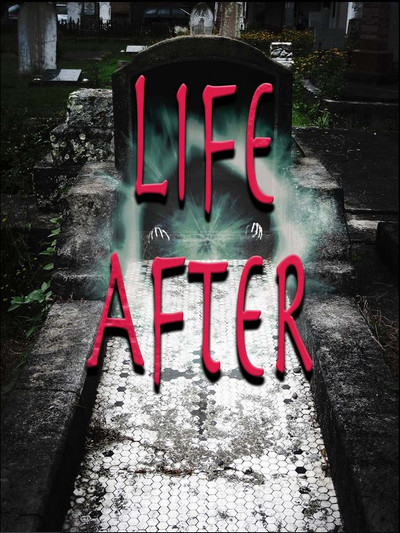 Póster de Life After