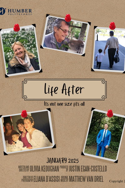 Póster de Life After