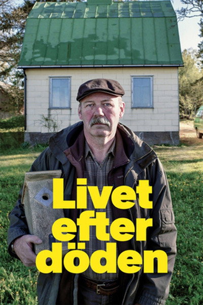 Póster de Life After Death
