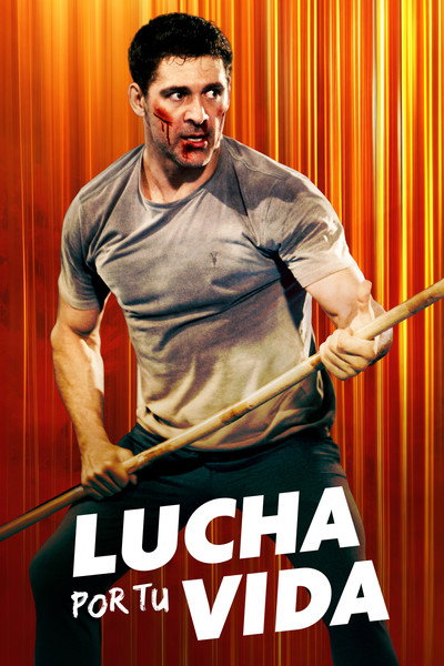 Póster de Life After Fighting