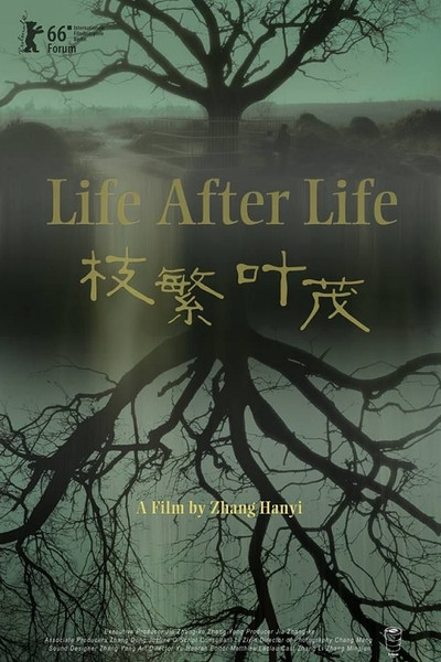 Póster de Life After Life