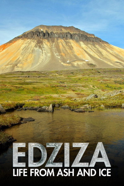 Póster de Life from Ash and Ice