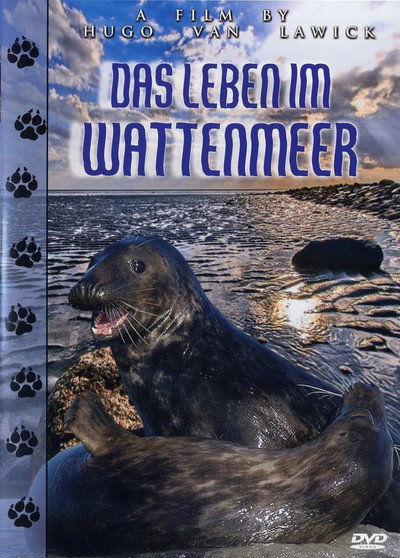 Póster de Life in Ebb and Flow