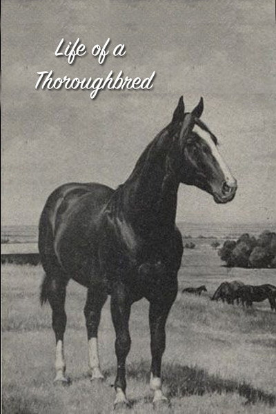 Póster de Life of a Thoroughbred