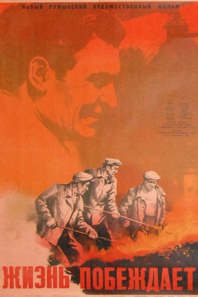 Póster de Life Triumphs