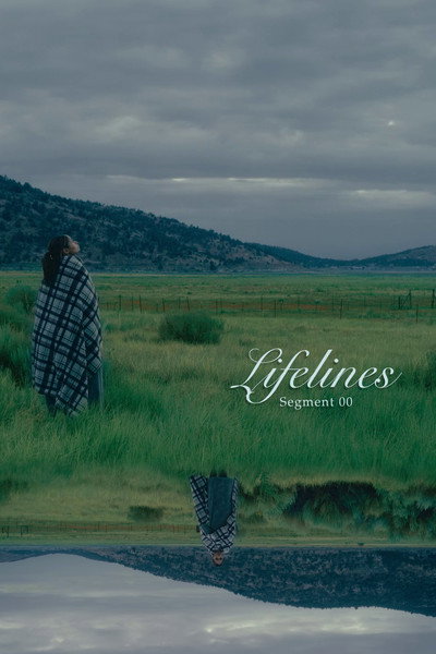 Póster de Lifelines