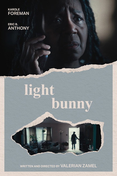 Póster de Light Bunny