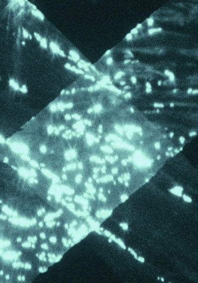 Póster de Light Trap