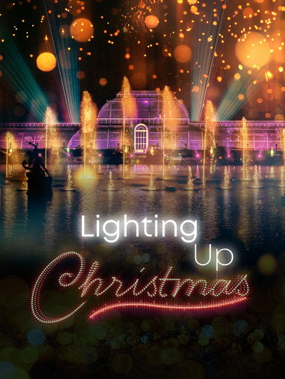 Póster de Lighting Up Christmas