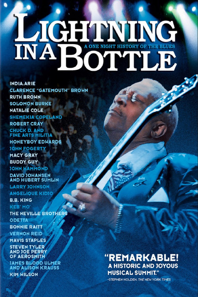 Póster de Lightning in a Bottle