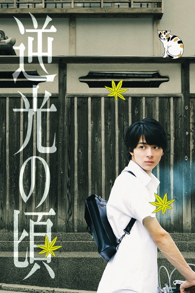 Póster de Lights of Kyoto