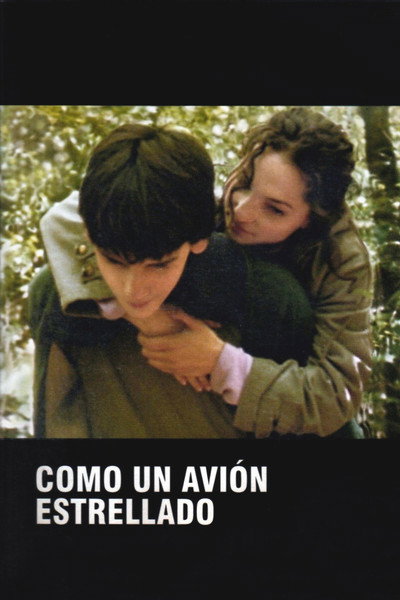 Póster de Like a Crashed Plane