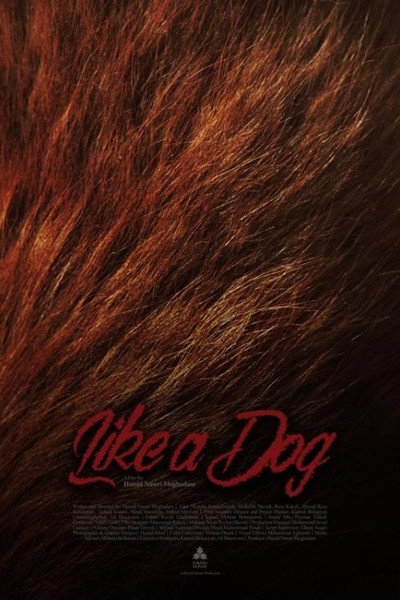 Póster de Like a Dog